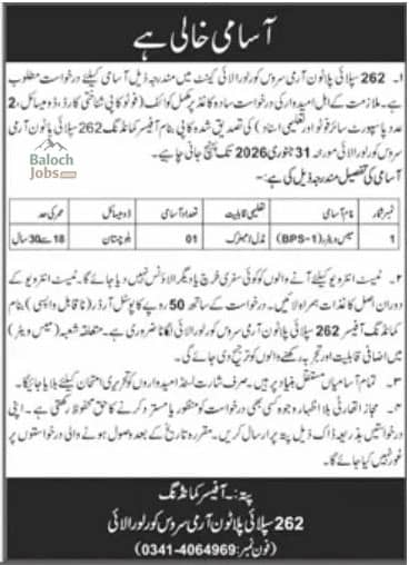262 Supply Platoon ASC Army Cantt Loralai Jobs 2026 Official Advertisement 