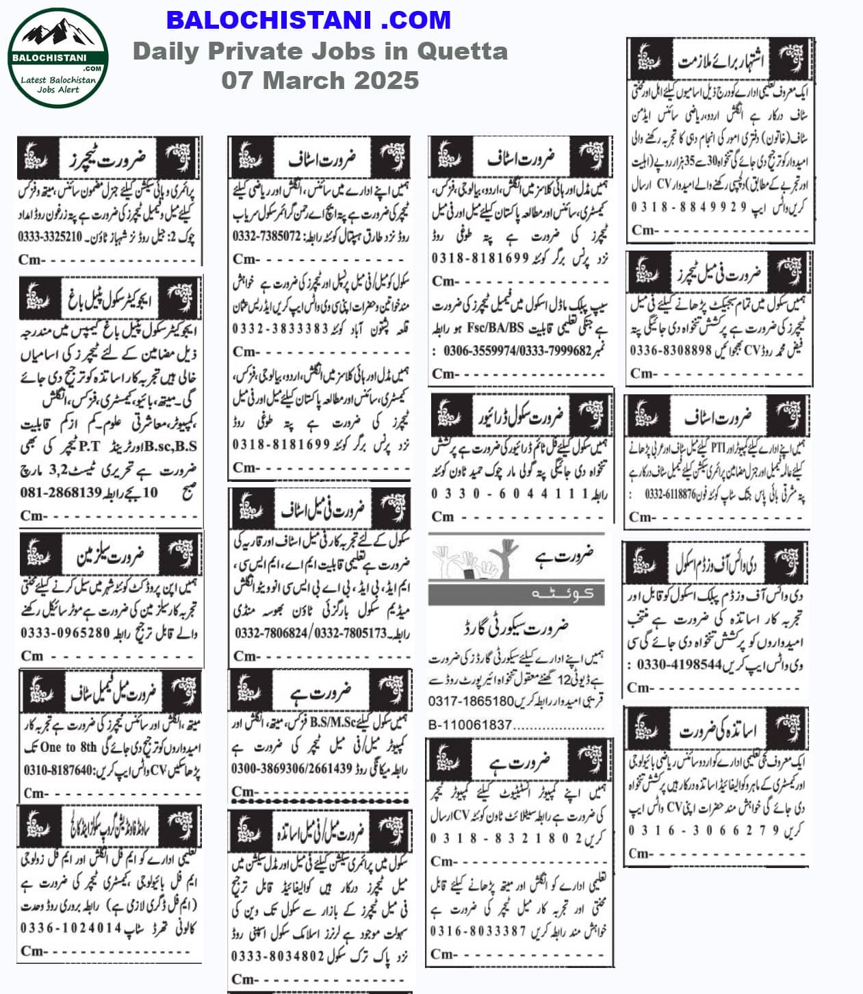 Private Jobs in Quetta 07 March 2026 Advertisement 