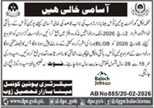 Local Government Department Zhob Jobs 2026 Official Advertisement