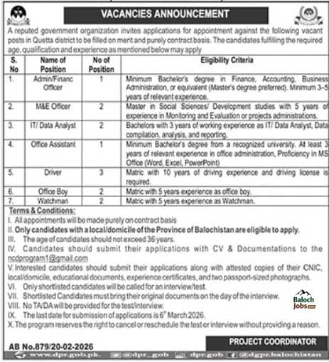 Project Based Government Jobs in Balochistan 2026 Official Advertisement 