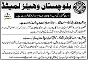 Balochistan Wheels Limited Hub Chowki Jobs 2026 Official Advertisement 