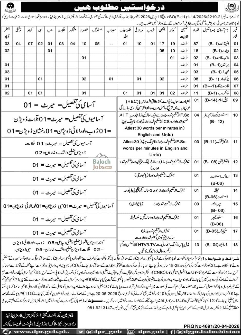 Director General Forms and Feeds Resources Livestock Balochistan Jobs 2026 Advertisement