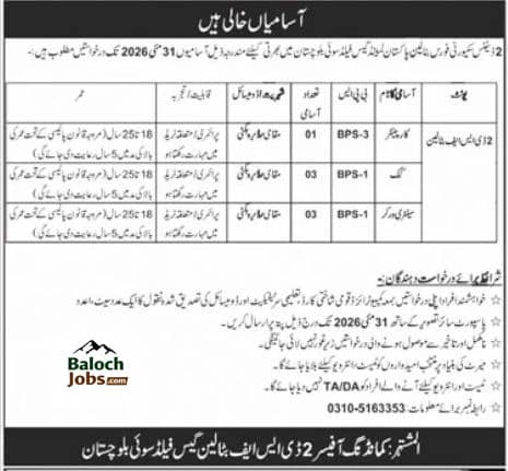 2 DSF Battalion Gas Field Sui Jobs 2026 Advertisement