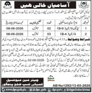 Municipal Committee District Panjgur Jobs 2026 Advertisement