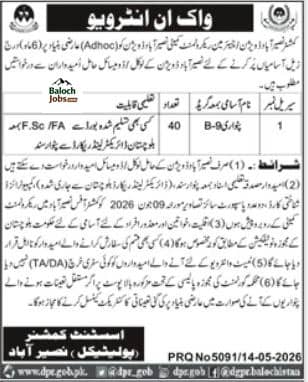 Patwari Jobs in Naseerabad 2026 Advertisement