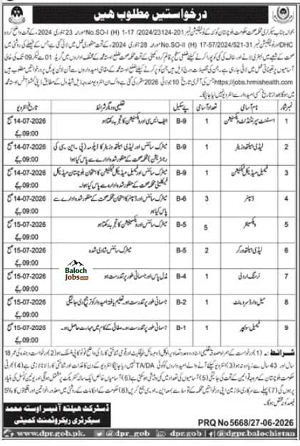 District Health Officer Usta Muhammad Jobs 2026 Advertisement