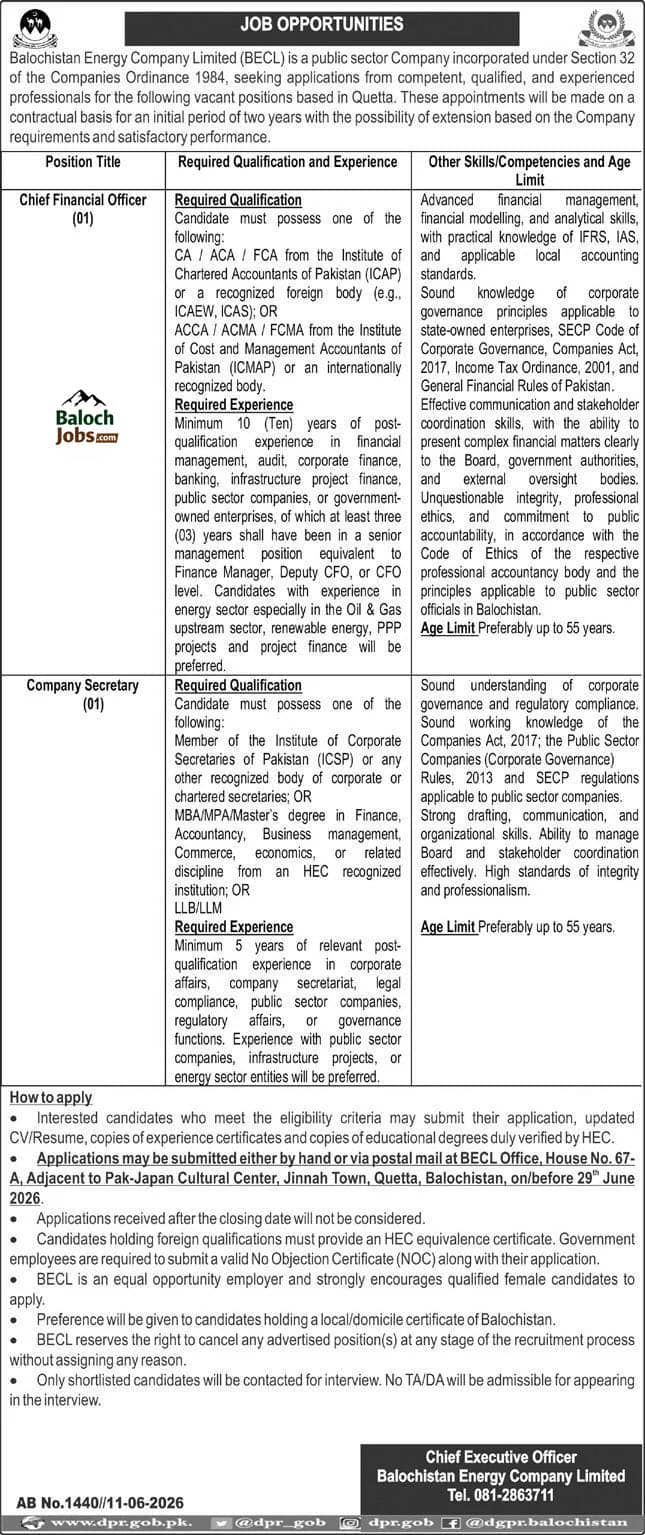 Jobs in Balochistan Energy Company Limited 2026 Advertisement