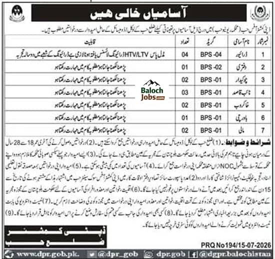Revenue Department Hub Jobs 2026 1 Revenue Department Hub Jobs 2026 Official Advertisement