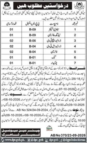 Municipal Committee Shahrag Jobs 2026 Advertisement 